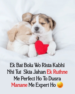 Love Quotes in hindi with cute animals 004 pre